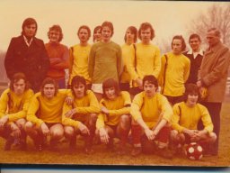 Gerard van Lieshout